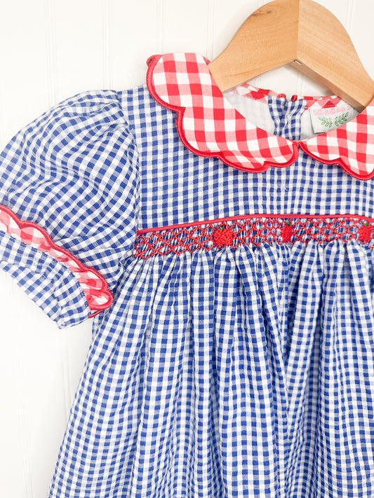 BTS Collection: Gingham Apple Dress