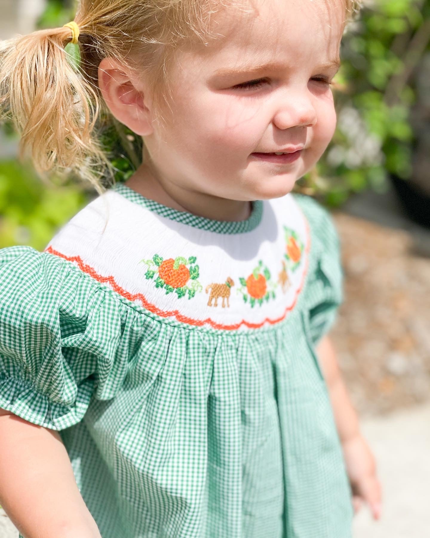 PRE SALE SHIPS SEPTEMBER: Pumpkins and Pups Bloomer Set/Dress